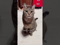 車が壊れた日