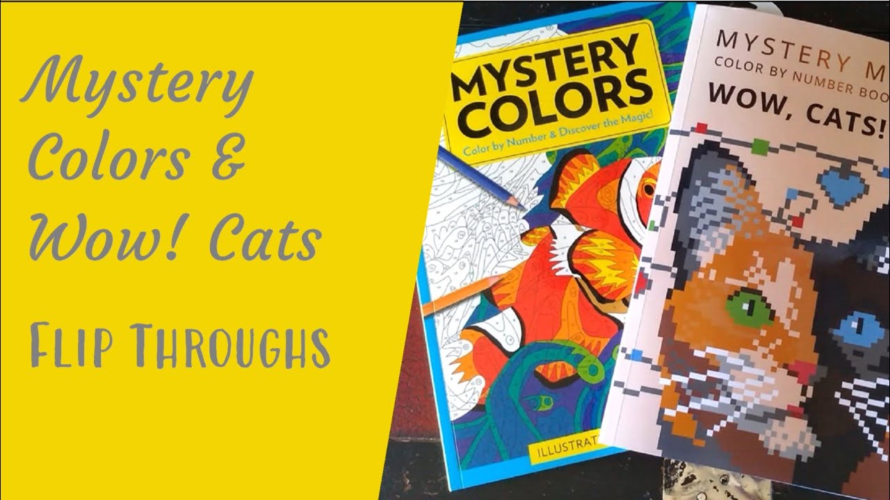 How I Color- French Disney Color by Number Books 