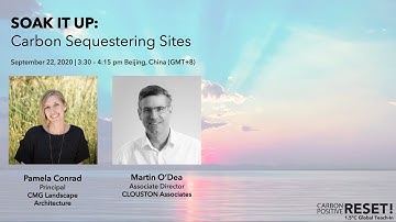 SOAK IT UP: Carbon Sequestering Sites // CarbonPositive RESET! 1.5ºC Global Teach-In