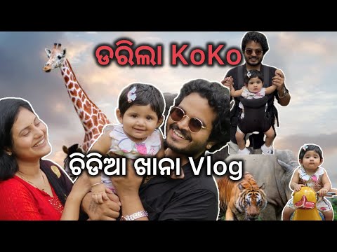 ଚିଡିଆ ଖାନା ରେ ଡରିଲା KOKO || Sradhapanigrahi || Odia