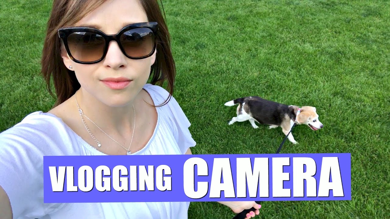 THE ONLY CAMERA GEAR YOU NEED - YouTube