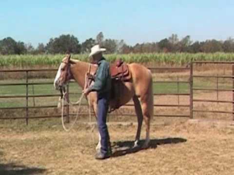The Use of Mecate Reins & Slobber Straps for Horses, provided by eXtension  