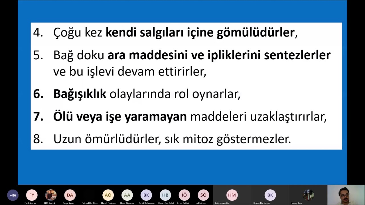 HİSTOLOJİ - Bağ Doku