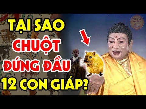Video Vì Sao Chuột Lại Đứng Đầu Trong 12 Con Giáp? Hiểu Được... - youtube