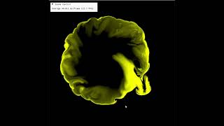 Stable Fluids 3 - Pressure Projection