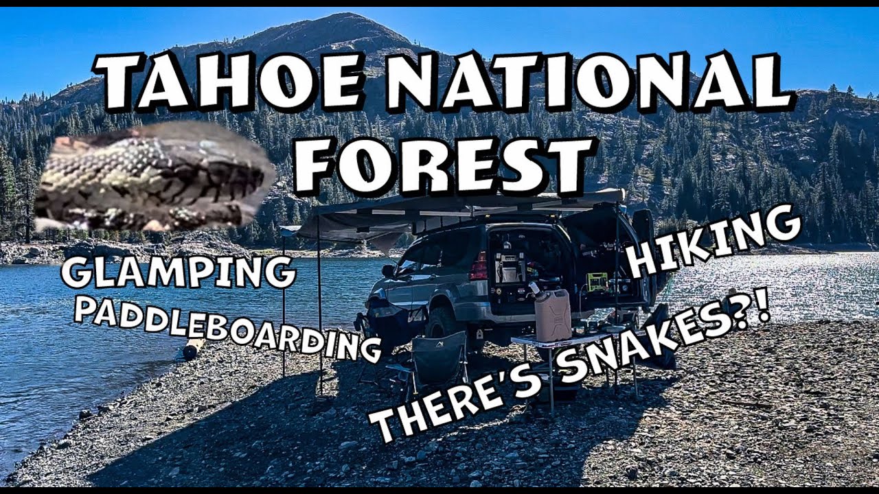 Glamping in the Tahoe National Forest