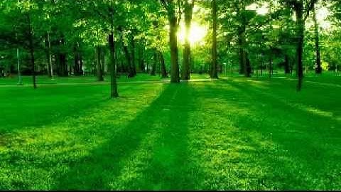 سورة النساء بصوت الشيخ بندر بليلة Surat An-Nisa Bandar Balela
