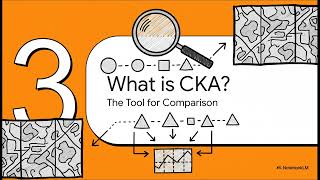Centered Kernel Alignment - Inside the AI Brain | CKA | LLMs