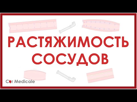 Растяжимость кровеносных сосудов - физиология сердечно-сосудистой системы