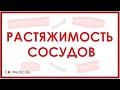 Растяжимость кровеносных сосудов - физиология сердечно-сосудистой системы