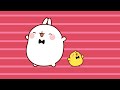 Superestrellas 🌟 Molang 🐰🐥 Bebes Llorones y sus amigos | Videos para niños y Caricaturas