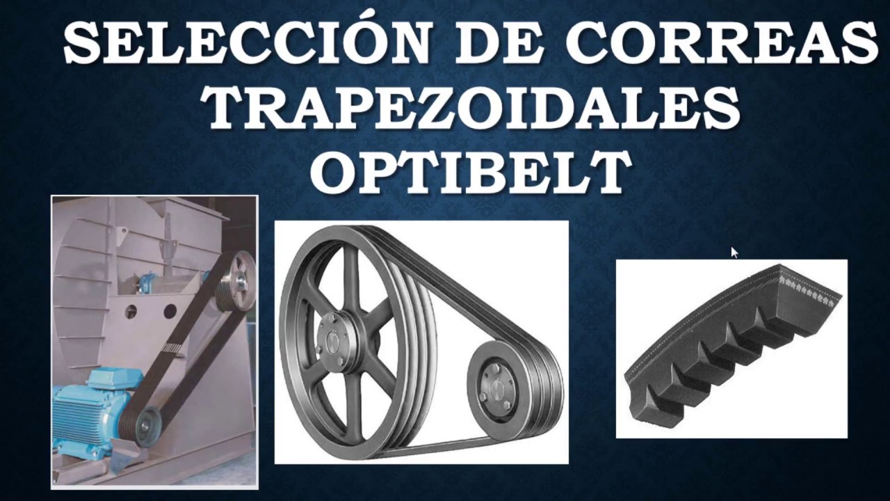 Kettler by bulktex ® correas de transmisión correa correas trapezoidales para escaladoras ctr3 CTR 3