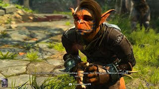 Baldurs Gate Goblin Yeet