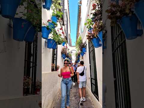 Vídeo: Com anar de ciutat en ciutat a Espanya