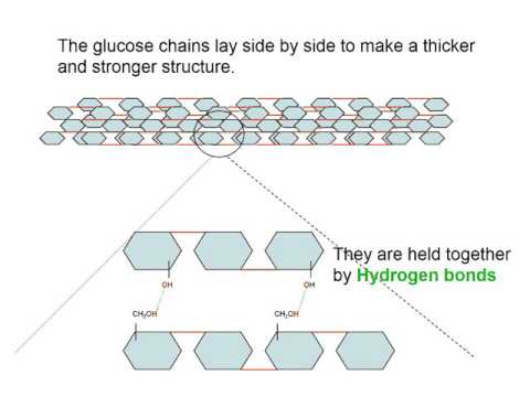 Video: Interfaciale Moleculaire Interacties Van Cellobiohydrolase Cel7A En Zijn Varianten Op Cellulose