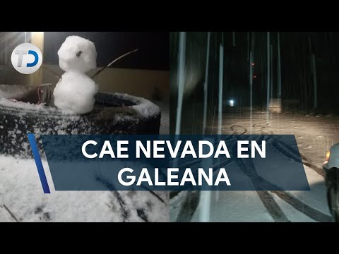 Video: ¿Leon murió en una nevada?