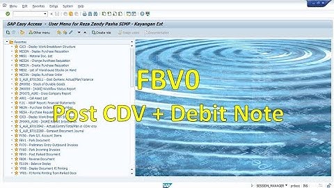 SAP FBV0 Post CDV + Debit Note