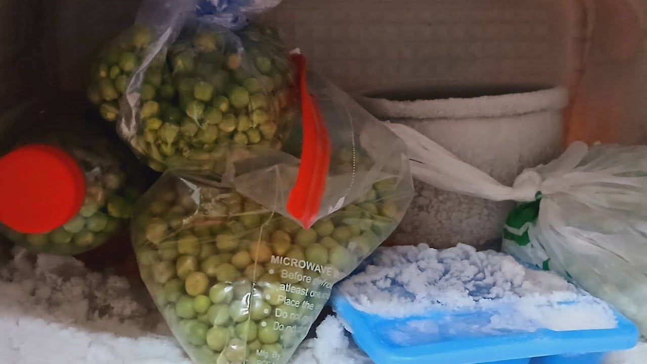 हरे मटर को 1 साल के लिए कैसे बिना ख़राब किये स्टोर करे इस वीडियो में देखिए🫛