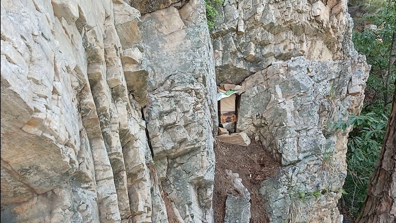 토종벌 설통박사 점검산행 100개 돌아보기