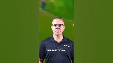 30 Years of Experience.