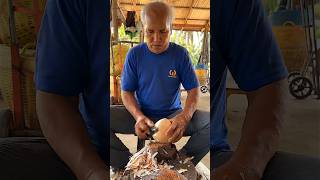 Amazing Skills To Extract Coconut Meat