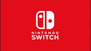 Nintendo Switch startup