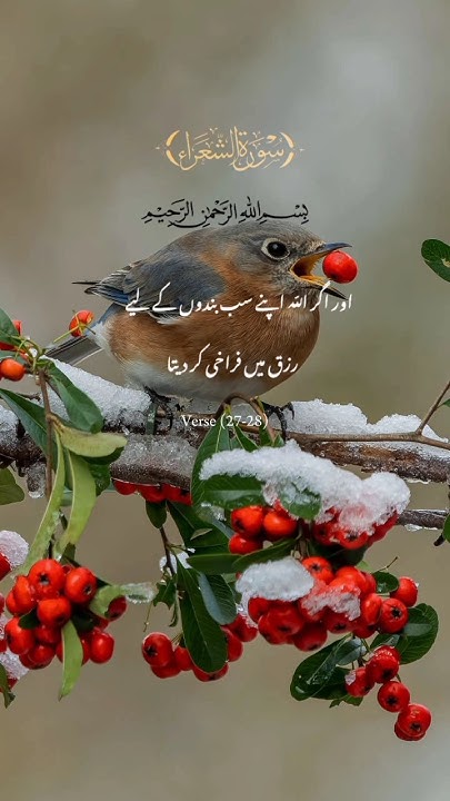 Quran Recitation In Urdu Language In Hindi quran-recitation-in-urdu-language-in-hindi