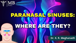 Paranasal Sinuses: Where Are They Located| Dr. K. R. Meghanadh | Medyblog
