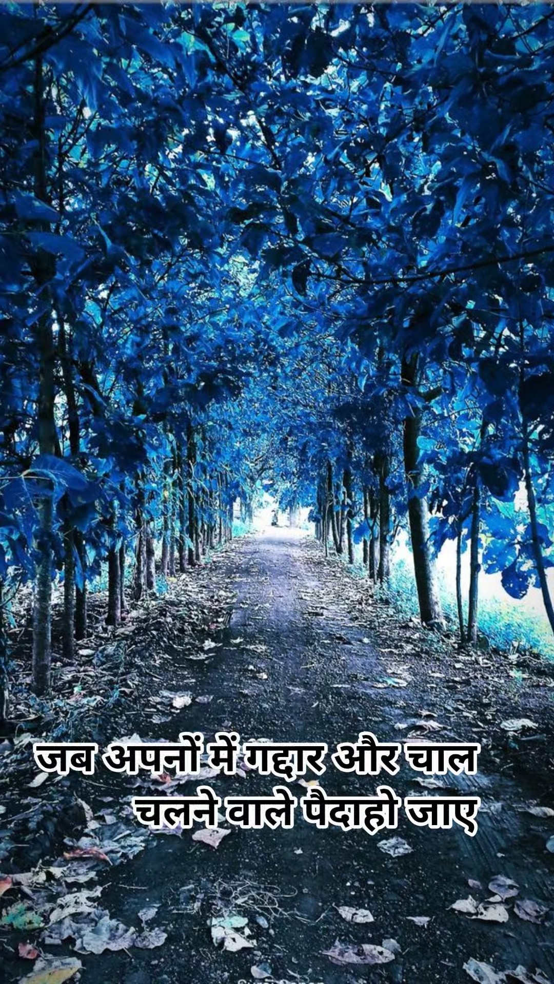 यूट्यूब चैनल - ShareChat