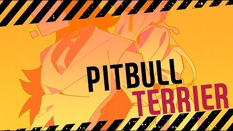 [PITBULL TERRIER meme]