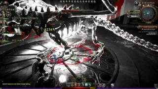 Neverwinter Online - Castle Never - Last Boss for TR