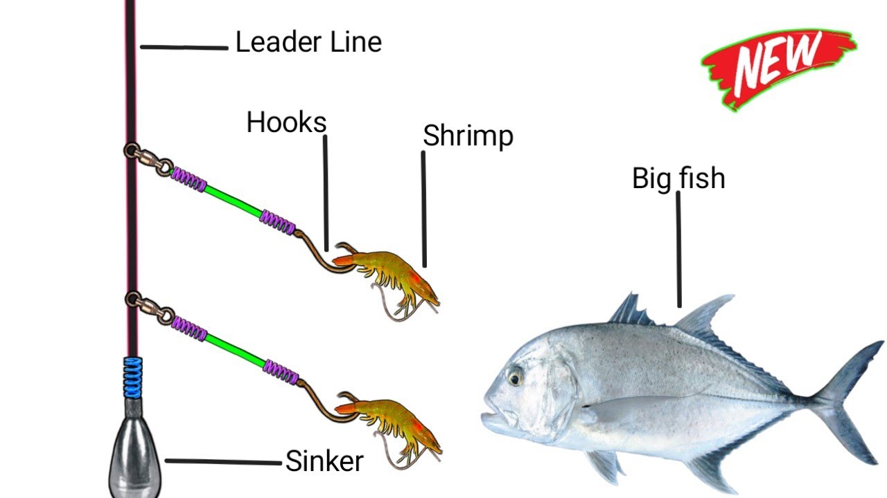 Fishermen's secret skills in fishing Bottom fishing YouTube