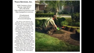 Sandoval Tree Service - Tree Services - Truco