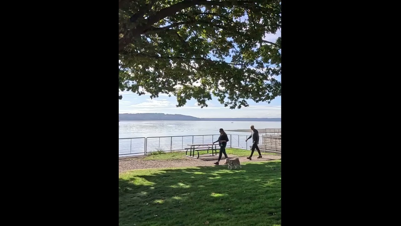 Cute🐕Pomeranian Dog With Owner Couple Walking Along Waterfront [Des Moines Washington State USA]