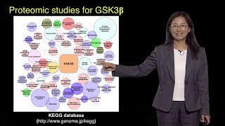 Bench to Bedside: Genetics of Circadian Rhythms, Part 2 - Ying-Hui Fu
