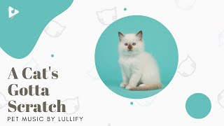 A Cat's Gotta Scratch - 1 Hour of Peace for Felines | Pet Music by Lullify | Lullify ∞ 645 screenshot 5