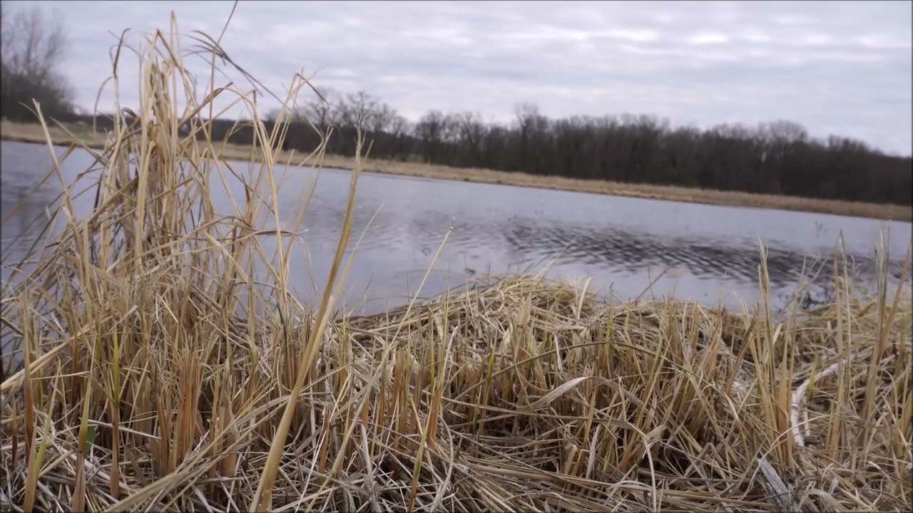 The Fathers Bargain Acoustic Cover ( Feat. Tyler Hepworth)