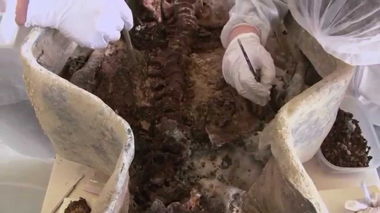 Les sarcophages des comtes de Flers