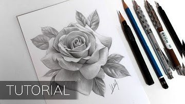 Tutorial - How to Draw a Realistic Rose