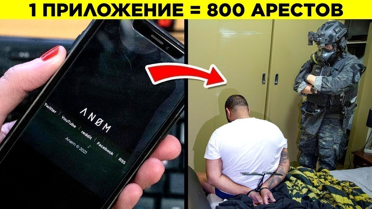 Обзор орхидей из новой студии. Потрясающие орхидеи!🤩🤪