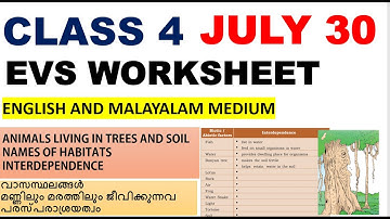 CLASS 4 EVS WORKSHEET/JULY 30/2021/HABITATS/INTERDEPENDENCE/ENG AND MAL MEDIUM/FIELDS AND FORESTS
