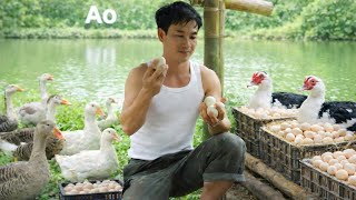 Download Lagu The first achievements of the CEO's journey towards a clean and green farm MP3