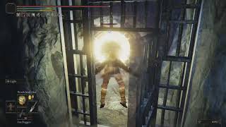 Shadow of the Erdtree Gaol Break
#eldenring #pvp
Links to my stuff:
twitch.tv/saintriot
twitter.com/_saint_riot_ Shadow of the Erdtree Gaol Break