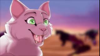Life~ Brightheart and Cloudtail PMV Map Part 18