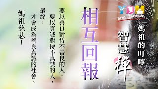 相互回報 媽祖的叮嚀 - YDM智慧禪 20200609