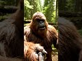 Bigfoot Explains Why He Ghosted Society #FridayVibes #CommuteLife #MythicalProblems