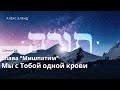 Недельная глава Мишпатим. Мы с тобой одной крови. Шемот 24