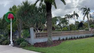 Looking For The Most Majestic Palm Tree? The Canary Island Date Palm Is The One Looking For The Most Majestic Palm Tree? The Canary Island Date Palm Is The One