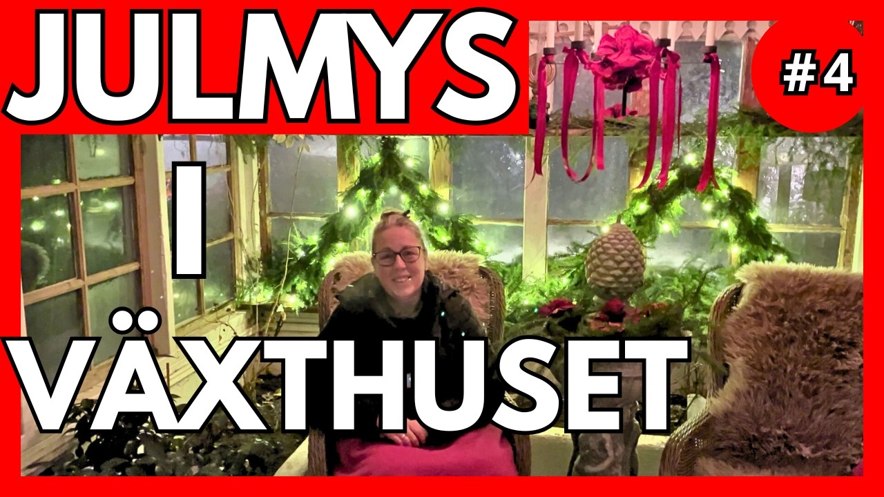 Så Gör Jag Växthuset Julfint – Enkelt, Mysigt & Magiskt