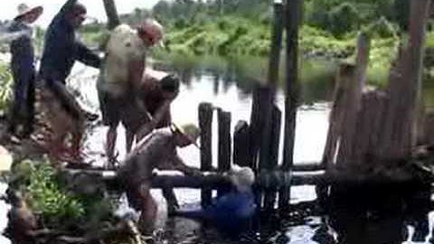 Peatland Alert: peatland loss fuels climate change